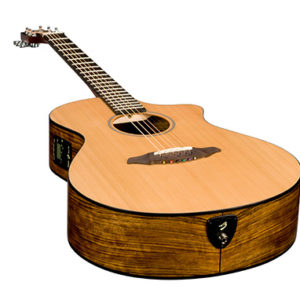 Breedlove deals passport c250