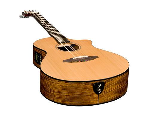 Breedlove Passport C250/COe Acoustic Guitar