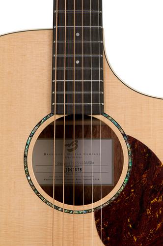 Breedlove Passport Plus C250/SB Acoustic Guitar