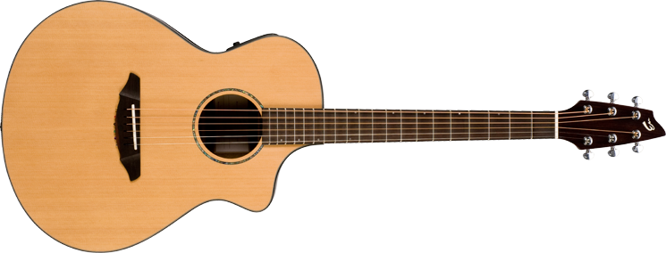 breedlove solo c350